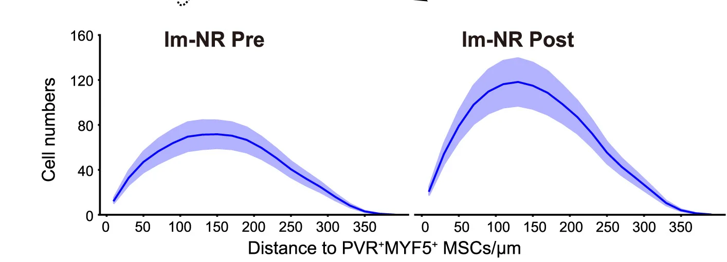 Open access visualization of Line Plot, Error Bars, TIGIT+CD3+Cells, PVR+MYF5+MSCs, Radial Distance