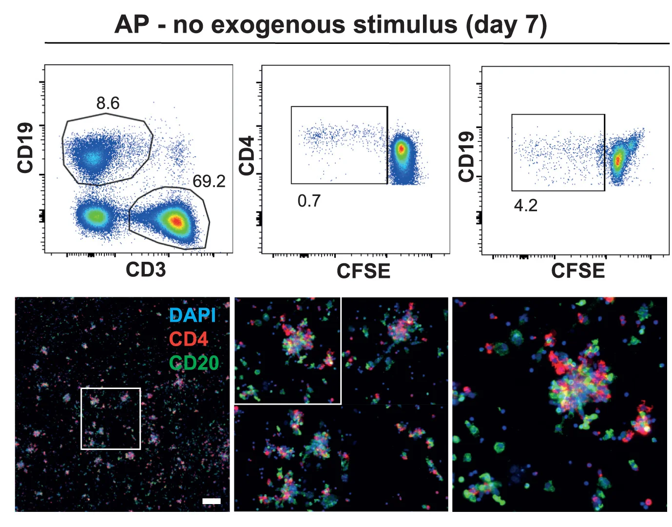 Open access visualization of Scatter Plot, Microscopy, B Cells, T Helper Cells, PBMCs