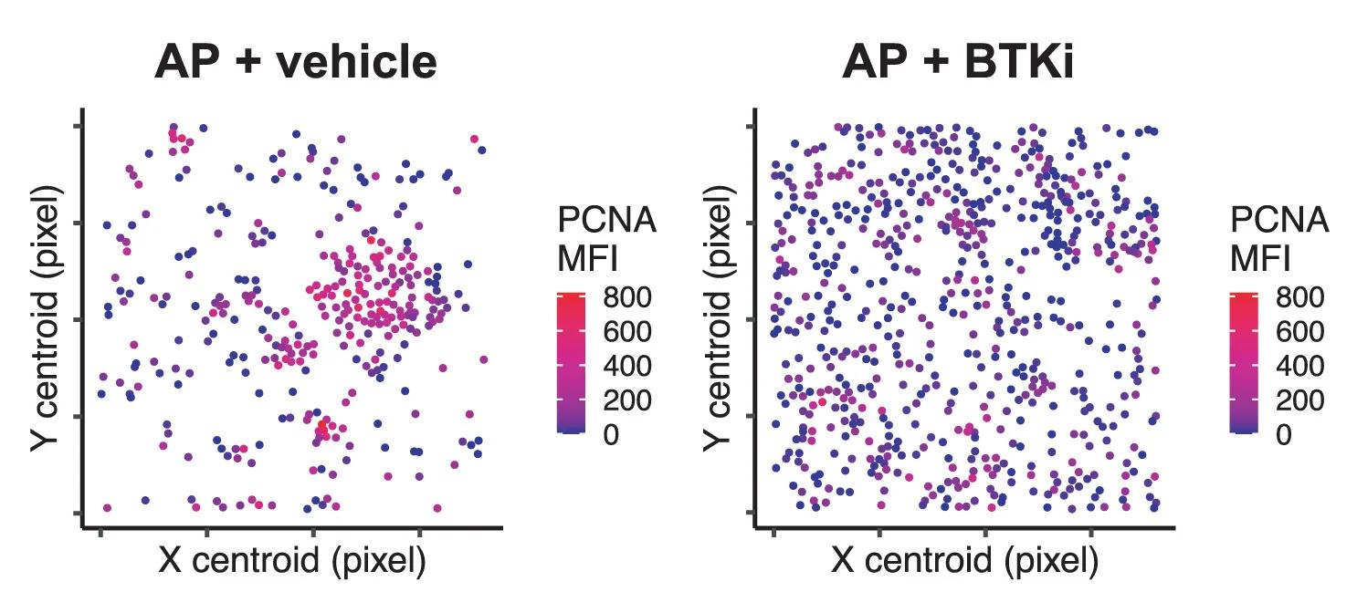 Open access visualization of Scatter Plot, 2D Projection, Morphology Centroids, Mean Fluorescence Intensity, PCNA