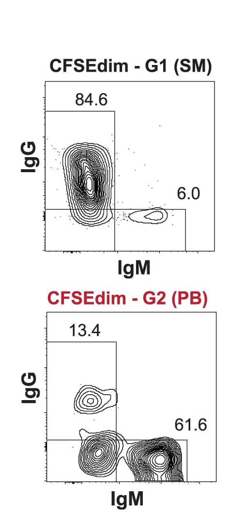 Open access visualization of Scatter Plot, IgG Expression, IgM Expression, Histogram Plot