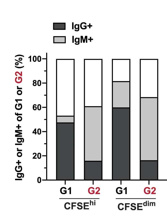 Open access visualization of Stacked Bar Plot, IgG Expression, IgM Expression, B Cell Subsets