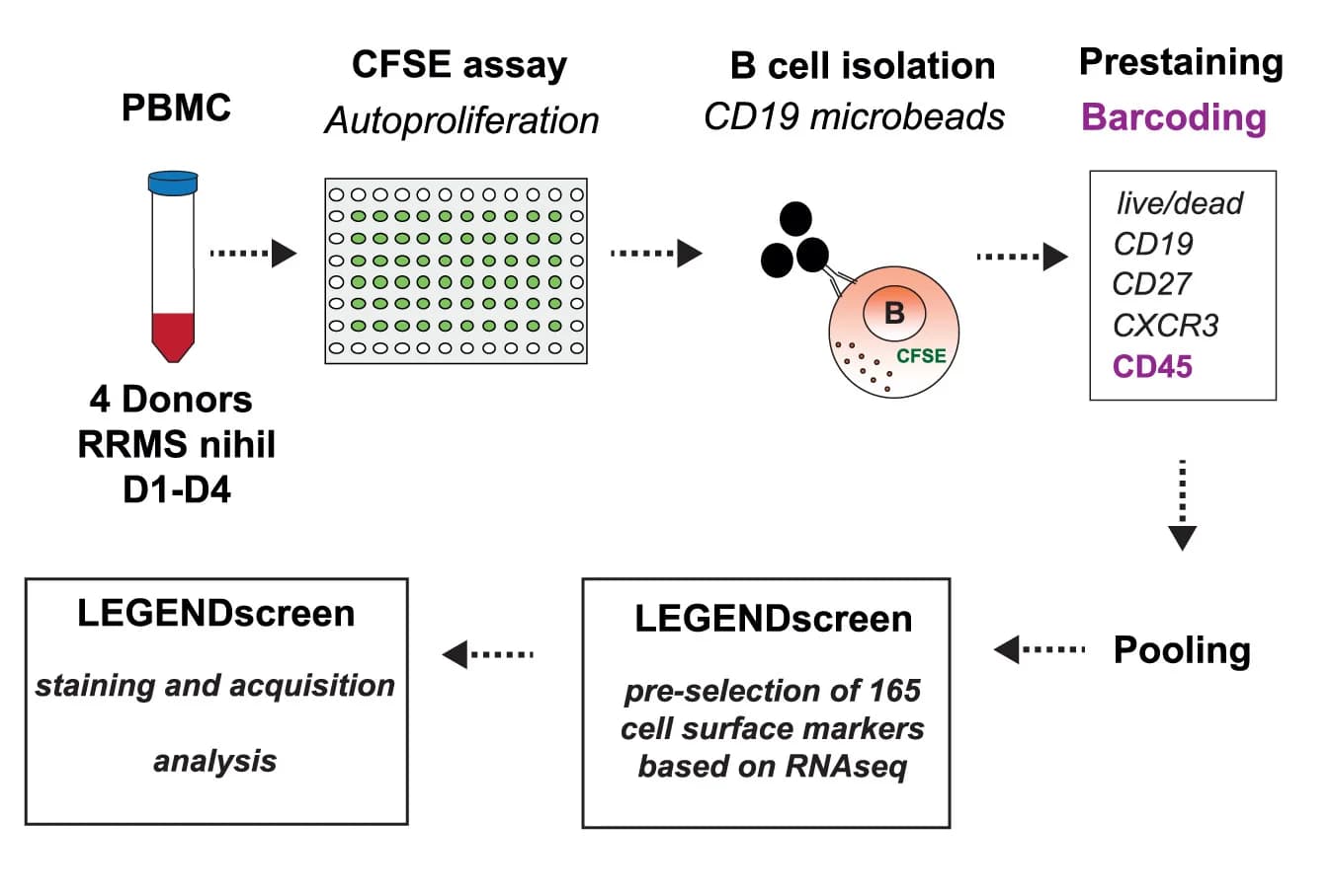Open access visualization of Workflow, Flowchart, Illustration, B Cells, CFSE