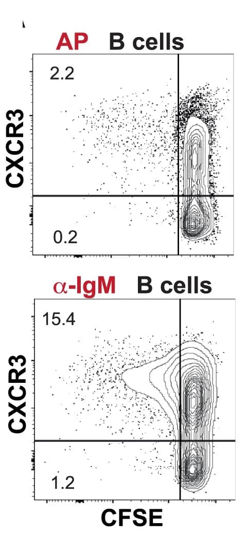 Open access visualization of Scatter Plot, B Cells, IgM Stimulation, Gating Strategy