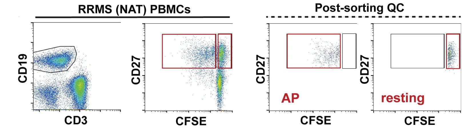 Open access visualization of Scatter Plot, Gating Strategy, Memory B Cells, Cell Sorting