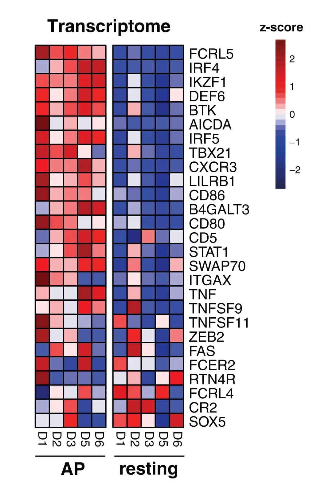 Open access visualization of Heatmap, Gene Expression, Age-Associated B Cells, Memory B Cells