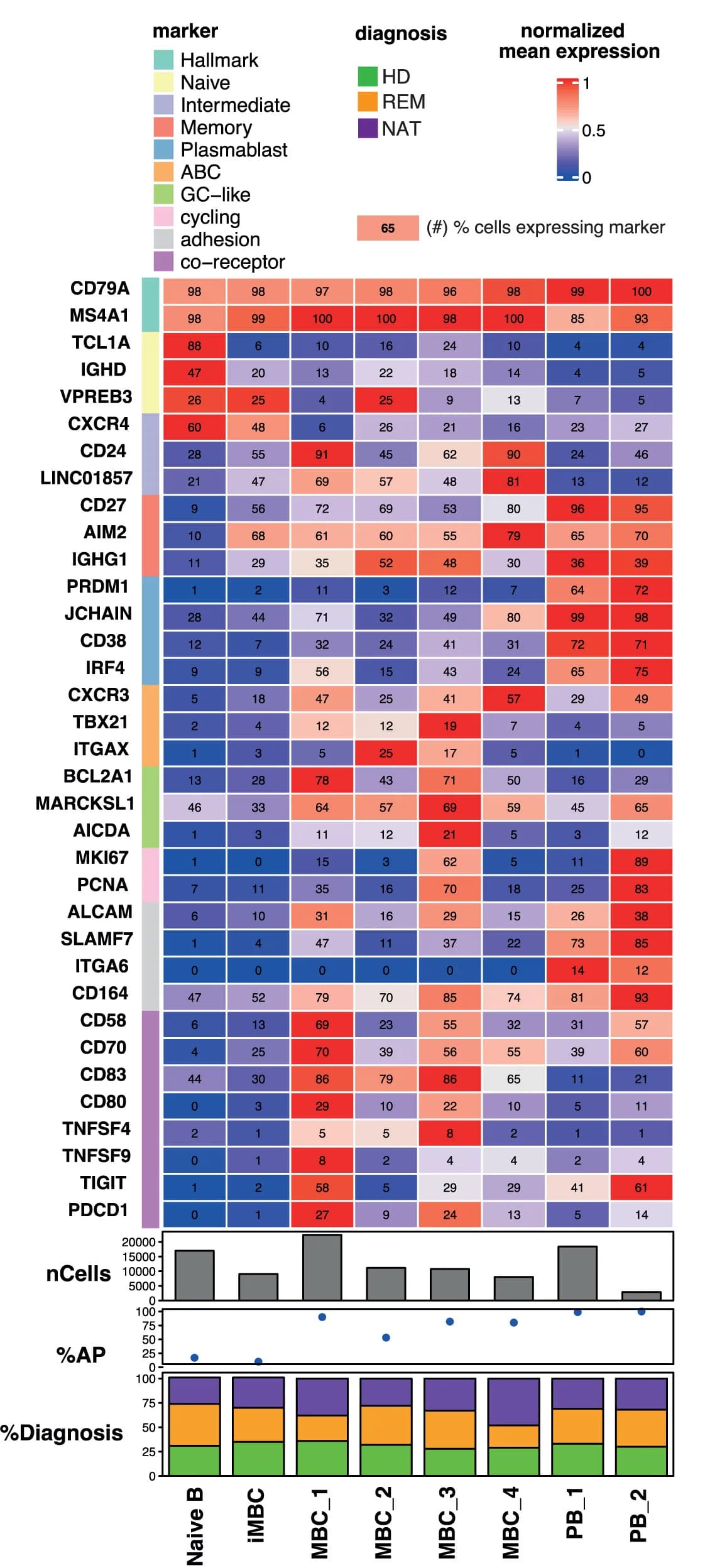 Open access visualization of Heatmap, Bar Plot, Line Plot, Stacked Bar Plot, Phenotypic Marker Gene Expression