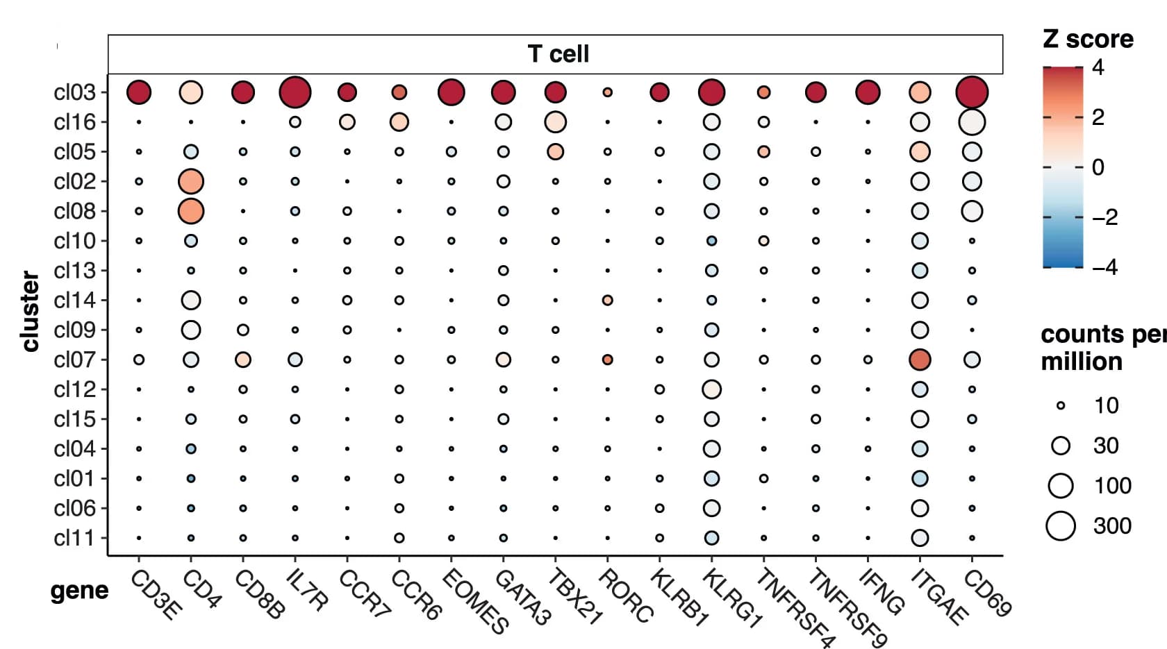 Open access visualization of Bubble Plot, Heatmap, Gene Expression, T Cell Markers, Normalization
