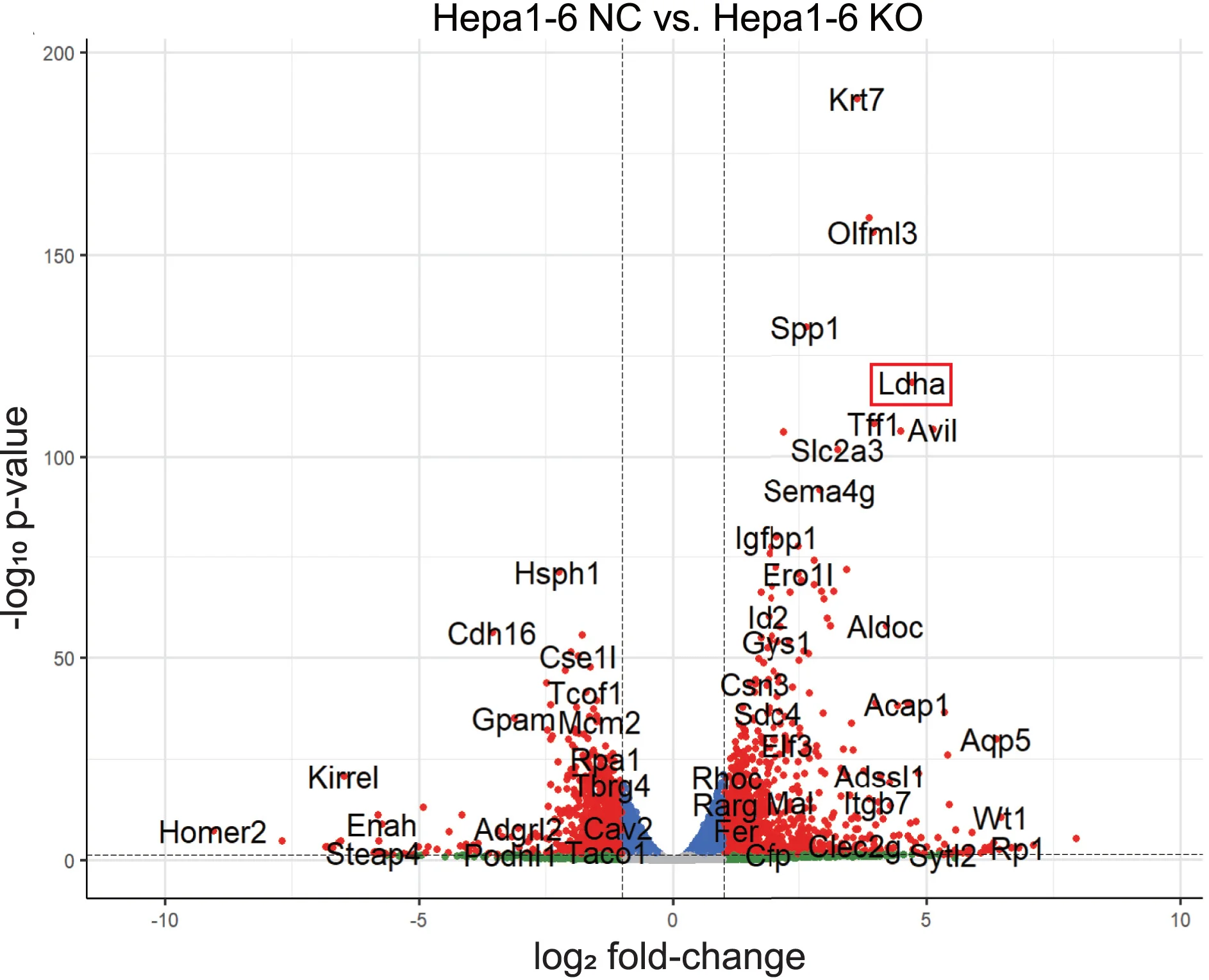 Open access visualization of Volcano Plot, Differentially Expressed Genes, Hepa1-6 Cells, NC Cells, KO Cells