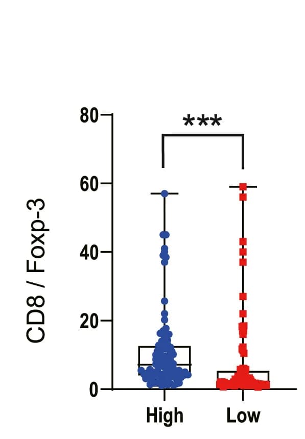 Open access visualization of Box Plot, Scatter Plot, CD8+ T Cell, Foxp-3+ Treg Cell Ratio, Mann-Whitney U Test