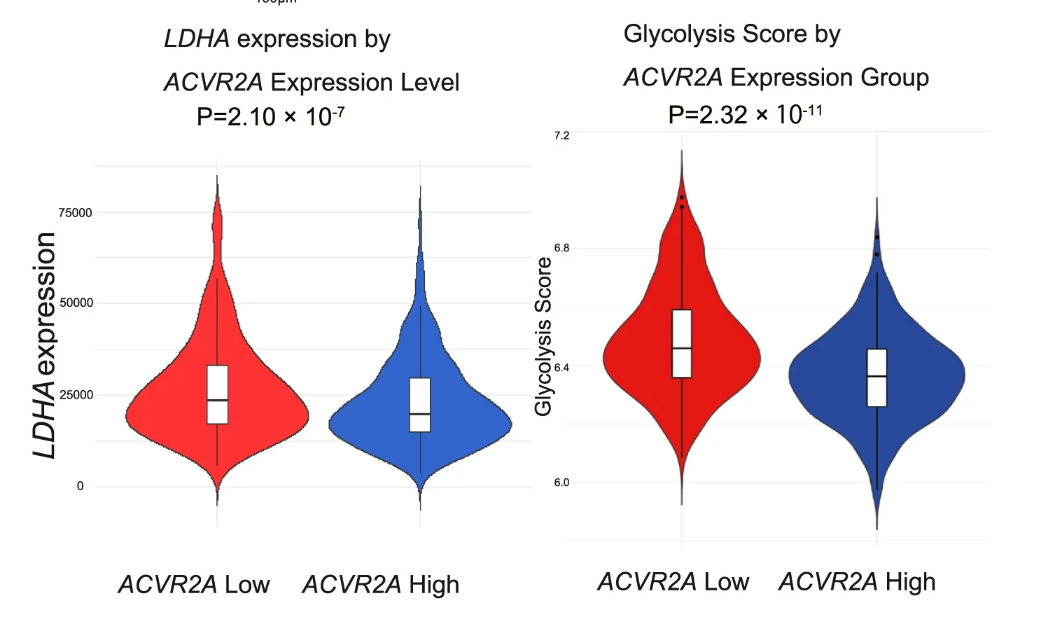 Open access visualization of Violin Plot, Box Plot, Expression Analysis, LDHA, Glycolytic Pathway