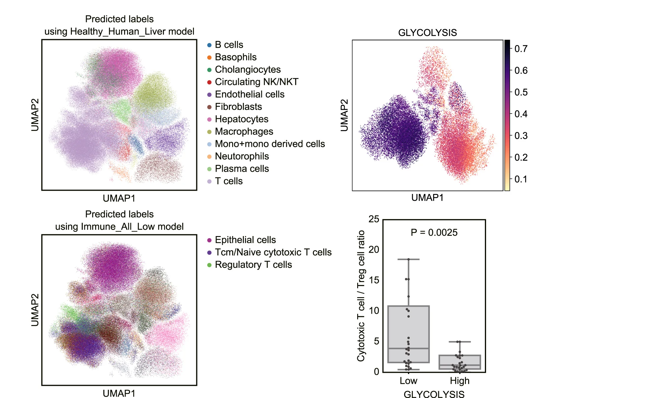 Open access visualization of UMAP, Scatter Plot, Box Plot, Single-Cell Analysis, HCC Samples