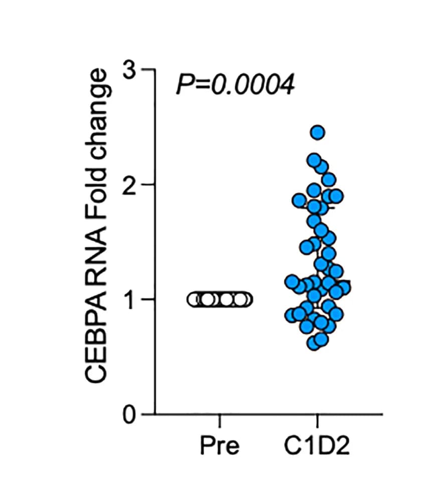 Open access visualization of Scatter Plot, CEBPA RNA, Fold Change, Wilcoxon Test, Patients