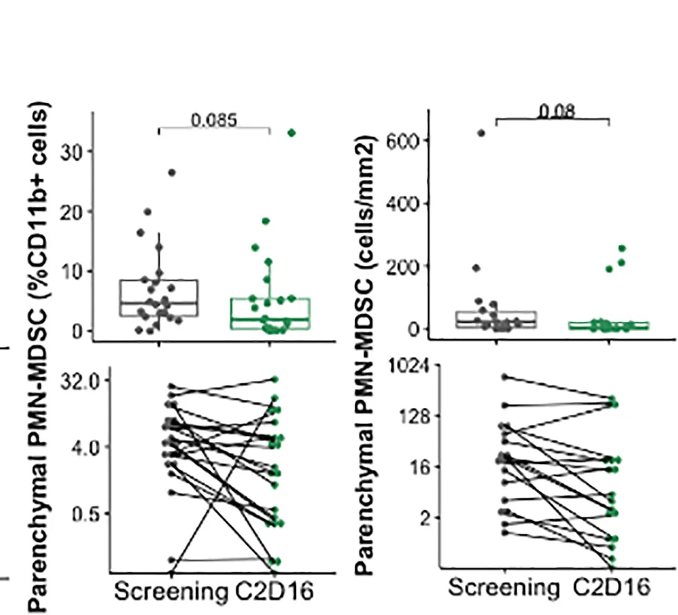 Open access visualization of Box Plot, Scatter Plot, Line Plot, CD11b+CD15+CD14-HLA-DR-LOX1+ Cells, PMN-MDSC
