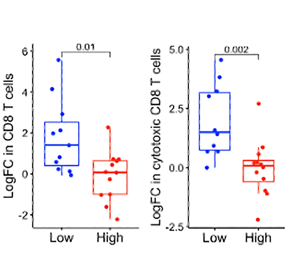 Open access visualization of Box Plot, Scatter Plot, CD3+CD8+ T Cells, CD3+CD8+GZMB+ T Cells, TIL