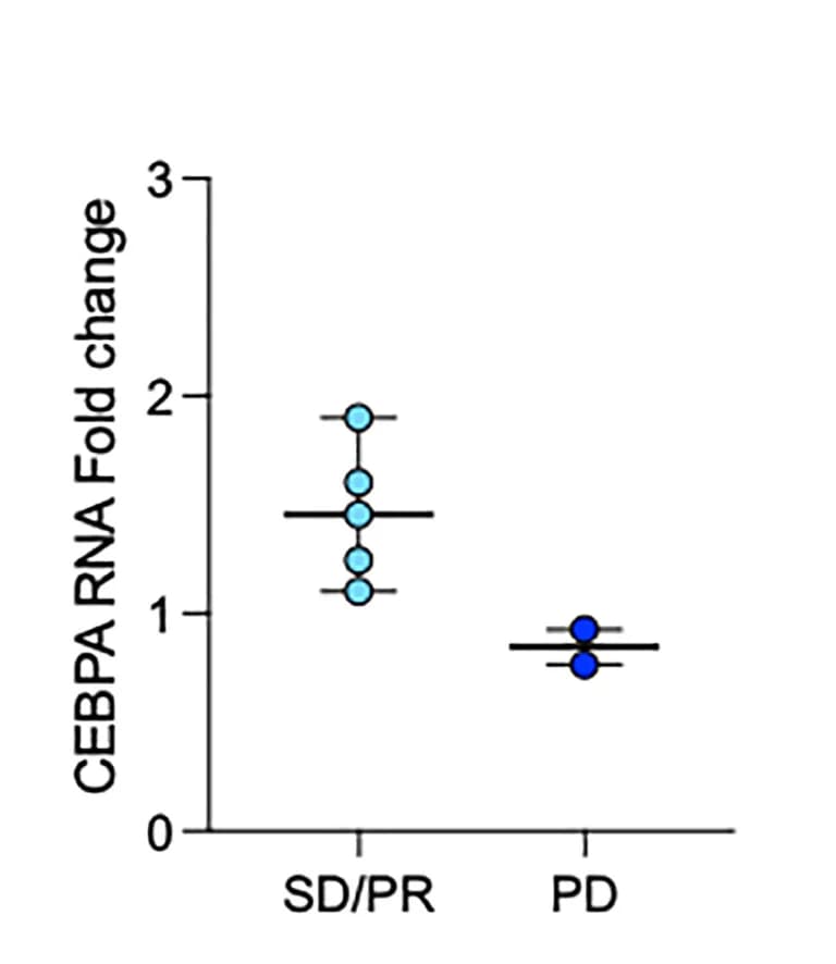 Open access visualization of Scatter Plot, CEBPA RNA, Cholangiocarcinoma, Fold Change, Clinical Response