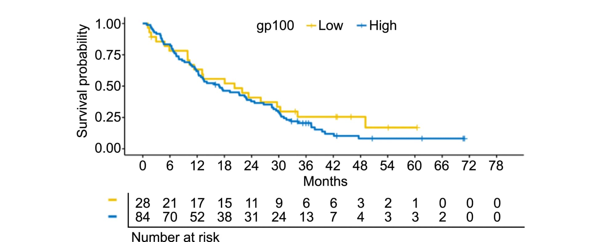 Open access visualization of Survival Curve, Kaplan-Meier Plot, OS, GP100 Expression, Overall Survival