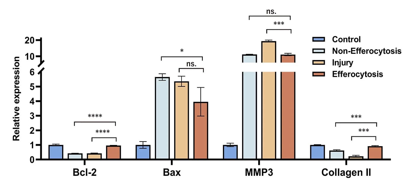 Open access visualization of Bar Plot, Error Bars, Clustered, Statistical Analysis, Bax