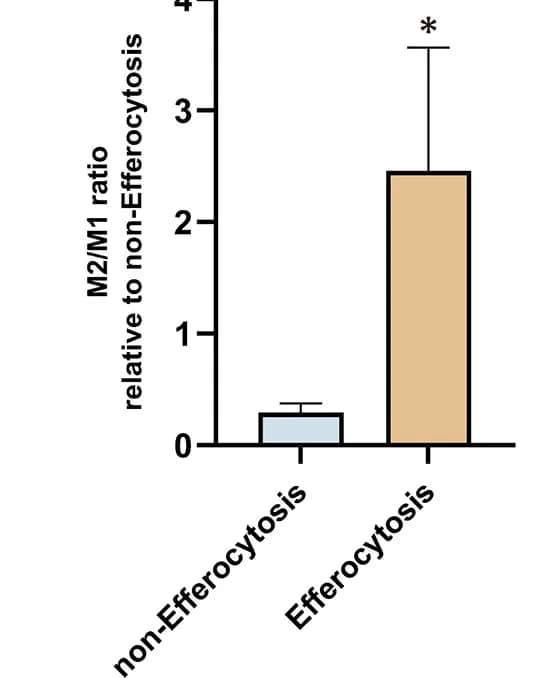 Open access visualization of Bar Plot, Error Bars, M2/M1 Ratio, CD206, CD86