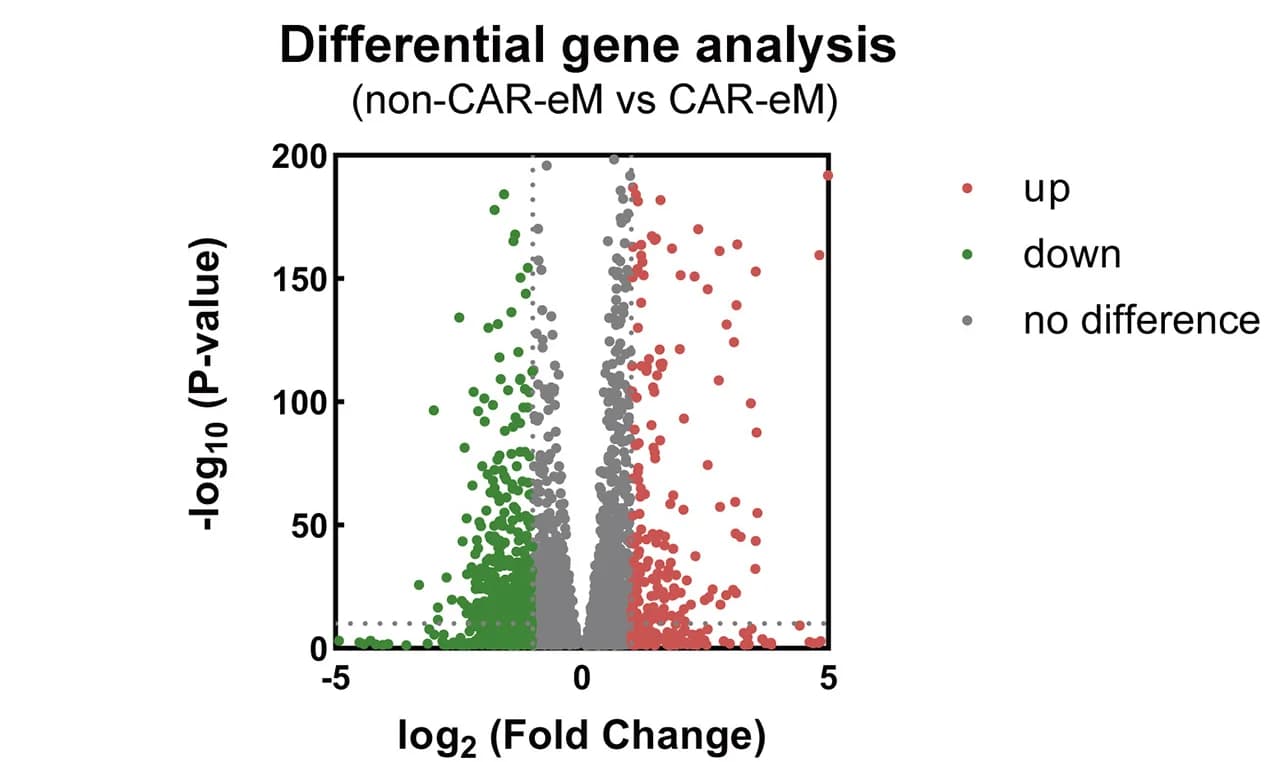 Open access visualization of Volcano Plot, Scatter Plot, Differential Gene Expression, CAR-eM, Non-CAR-eM