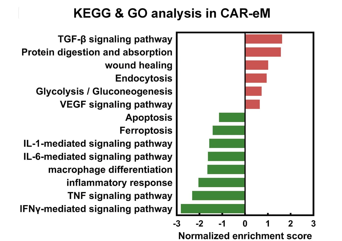 Open access visualization of Bar Plot, KEGG Analysis, GO Analysis, CAR-eM, Non-CAR-eM