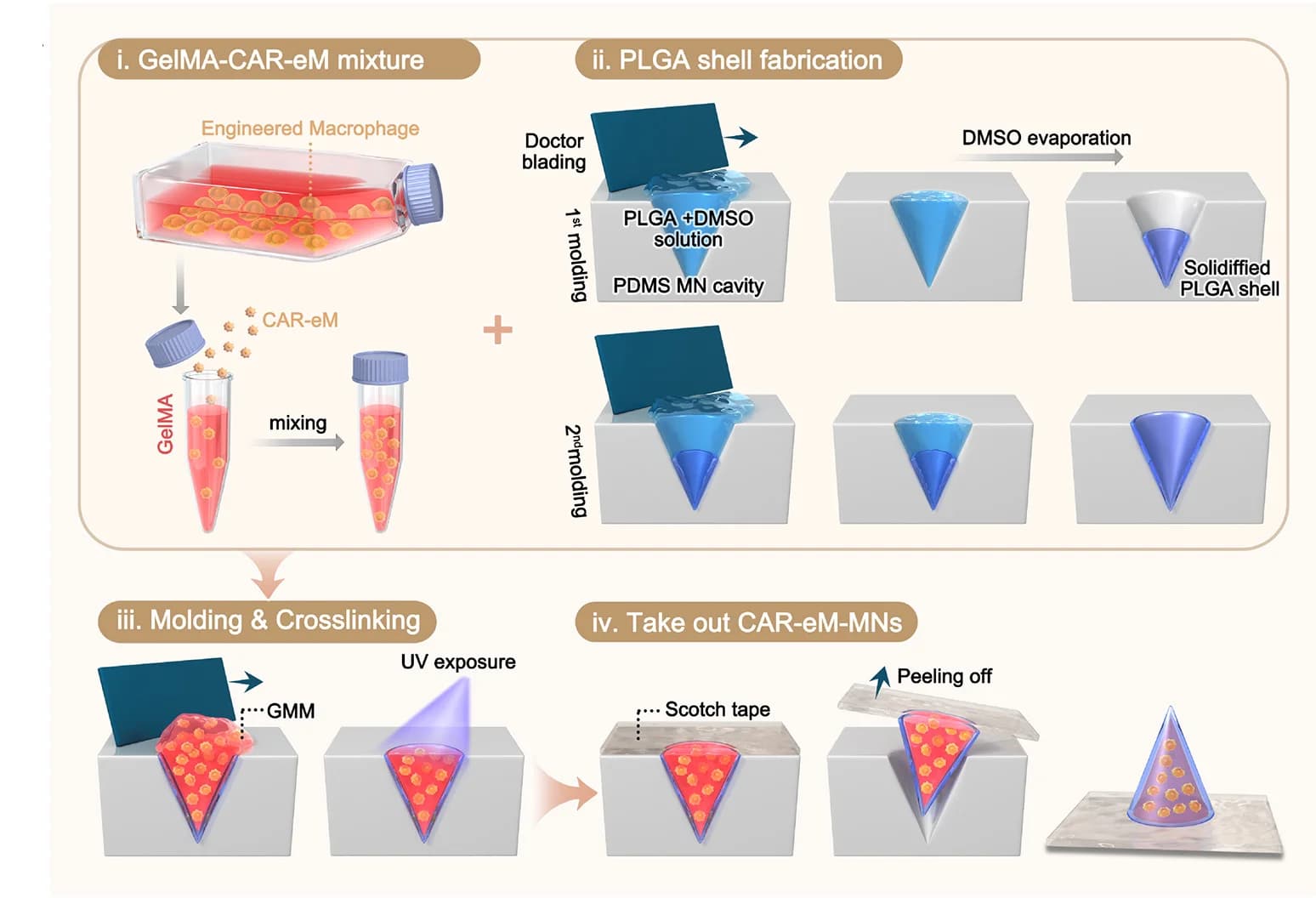 Open access visualization of Workflow, Flowchart, Illustration, MN Patch, CAR-eM