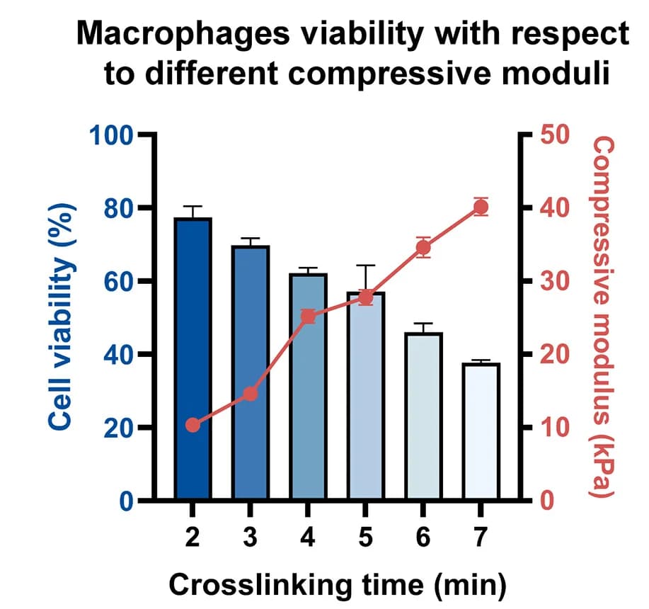 Open access visualization of Bar Plot, Error Bars, Line Plot, 3D GelMA-Macrophages, Viability