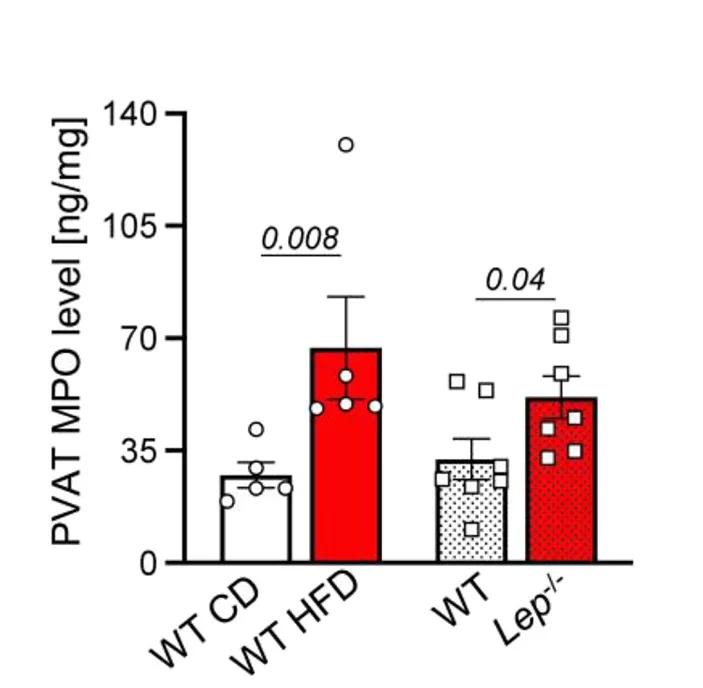 Open access visualization of Bar Plot, Error Bars, Scatter Plot, MPO Levels, PVAT