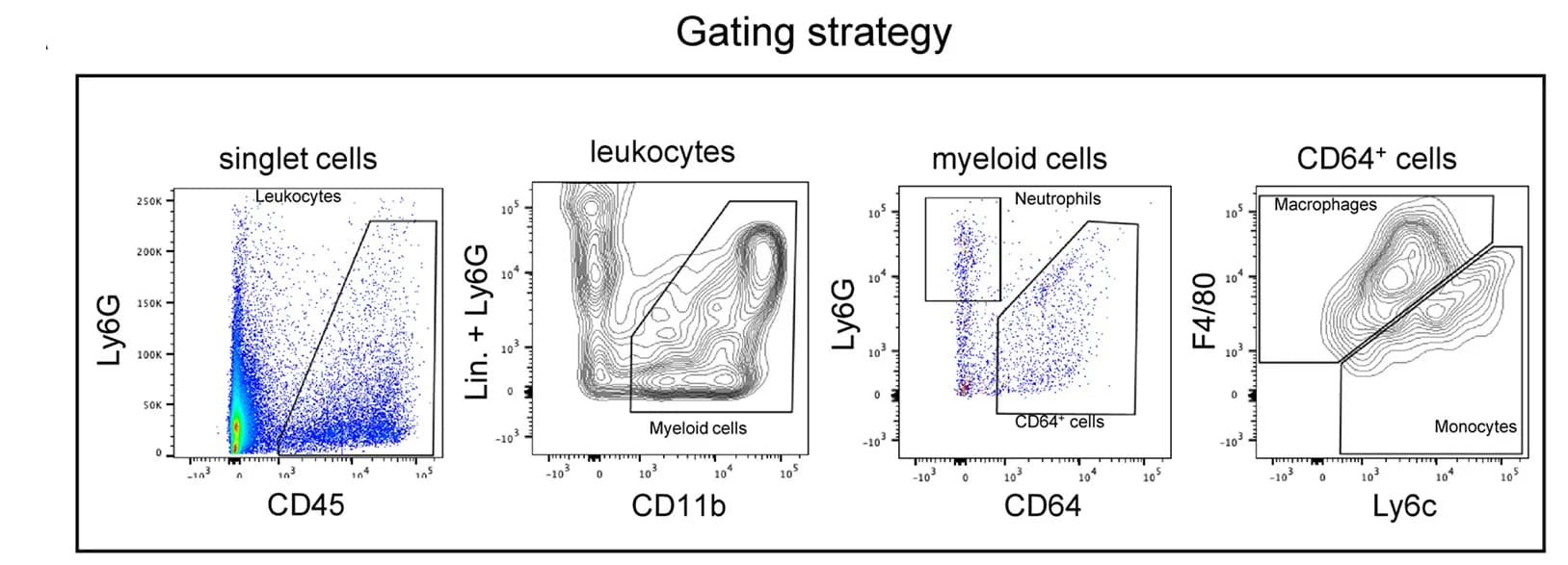 Open access visualization of Scatter Plot, Flow Cytometry, Leukocyte Populations, Gating Strategy