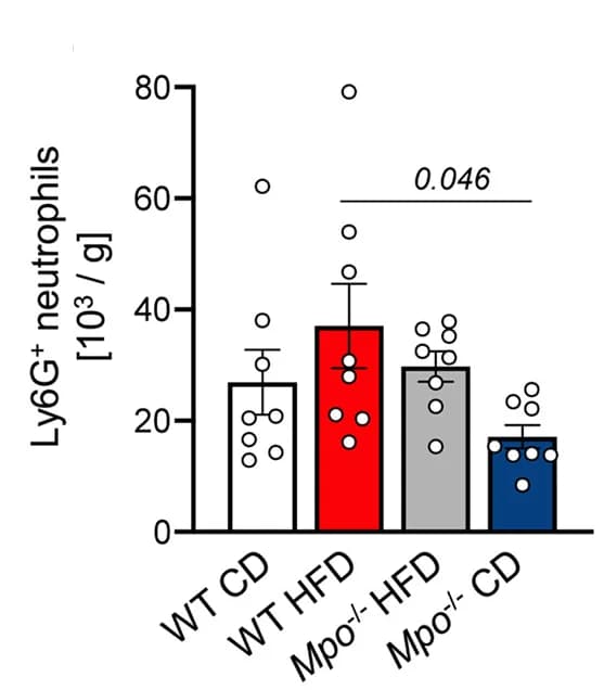 Open access visualization of Bar Plot, Error Bars, CD45+ CD11b+ CD64+ Ly6G+ Neutrophils, Cell Counts