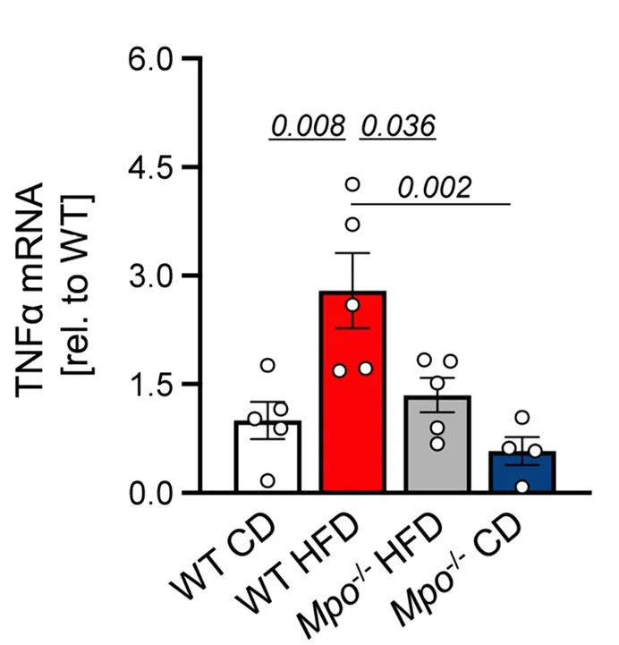 Open access visualization of Bar Plot, Error Bars, Gene Expression, PVAT, DIO Mice