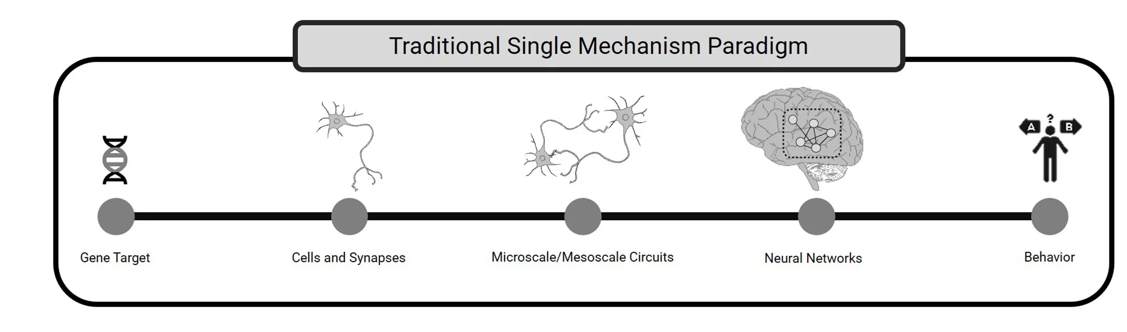 Open access visualization of Workflow, Illustration, Genes, Cells, Circuits