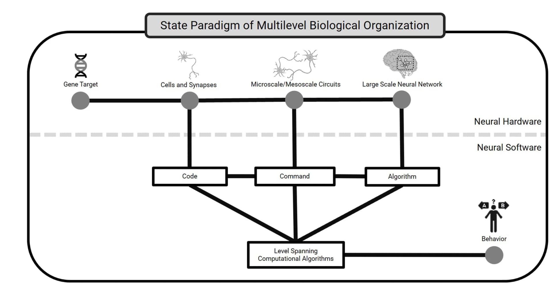 Open access visualization of Workflow, Flowchart, Illustration, Biological Organization, Computations