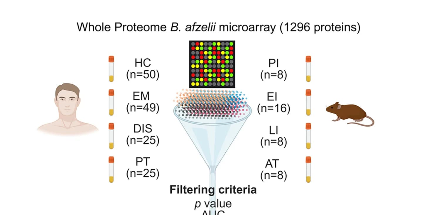 Open access visualization of Workflow, Illustration, Whole-Proteome Microarray, Immunoreactive Antigens, Human Sera