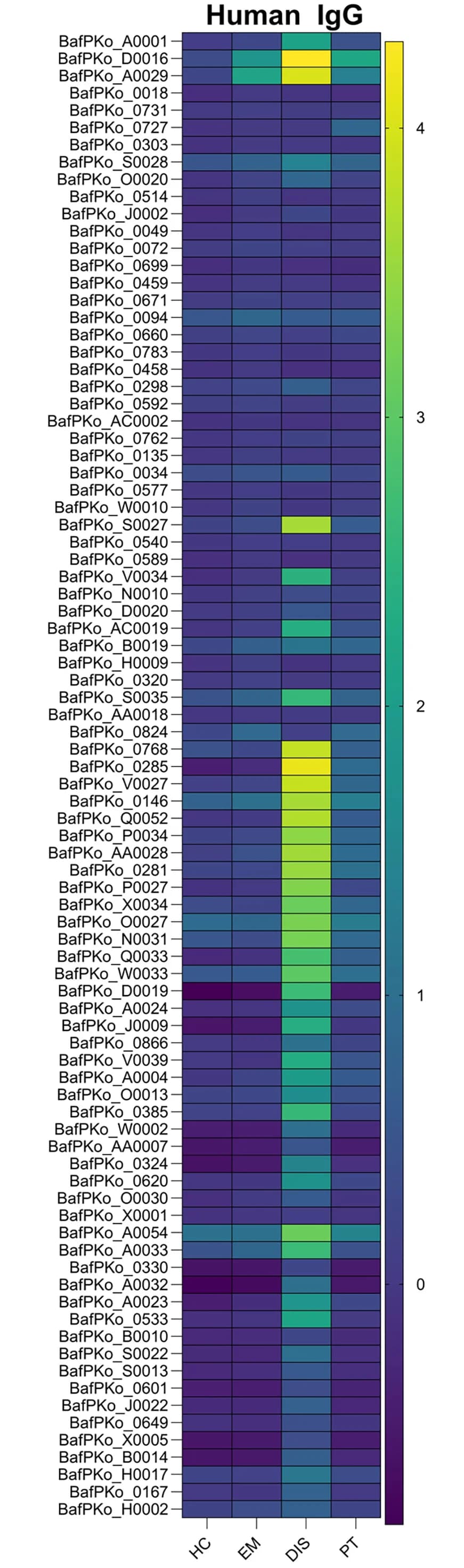 Open access visualization of Heatmap, IgG Antigens, Discovery Cohort, Human Sera, Healthy Controls