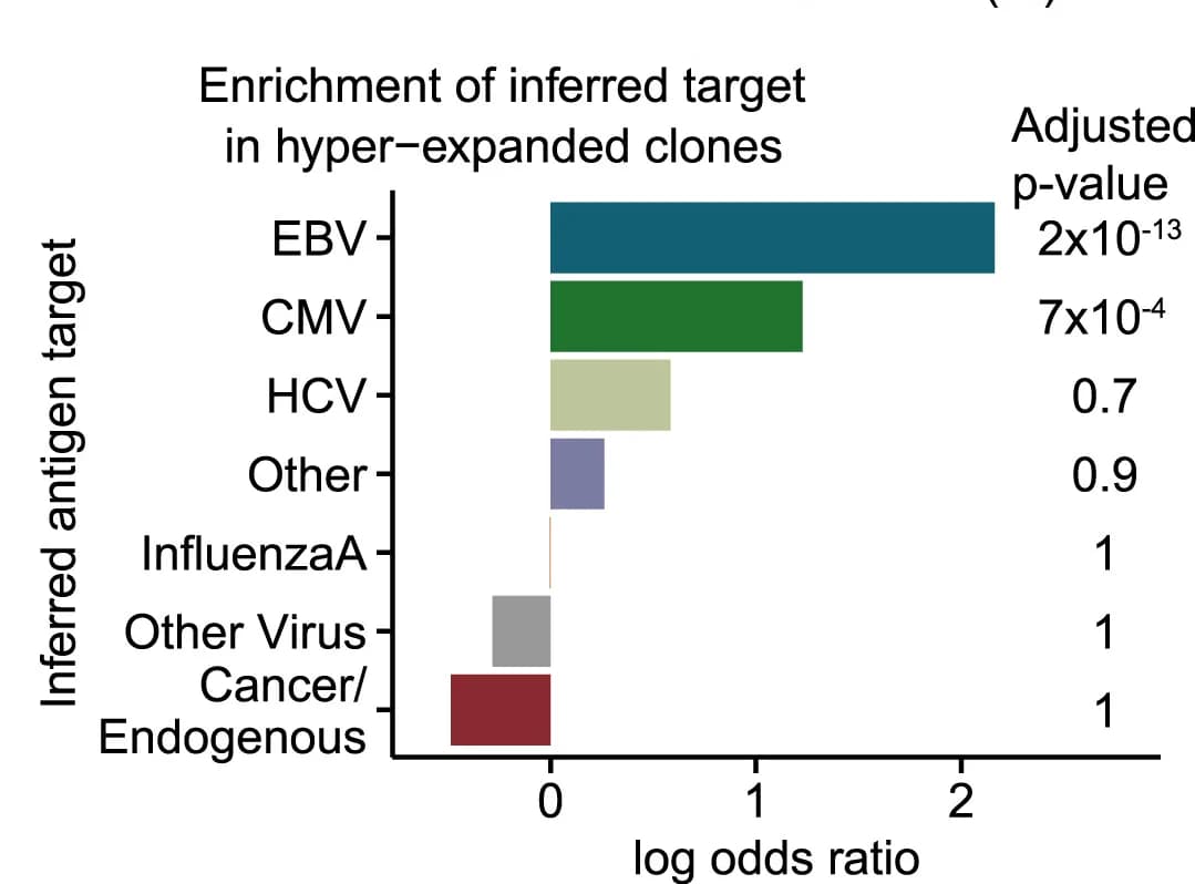 Open access visualization of Bar Plot, Target Enrichment, Clonal Expansion, Hyper-Expanded Clones