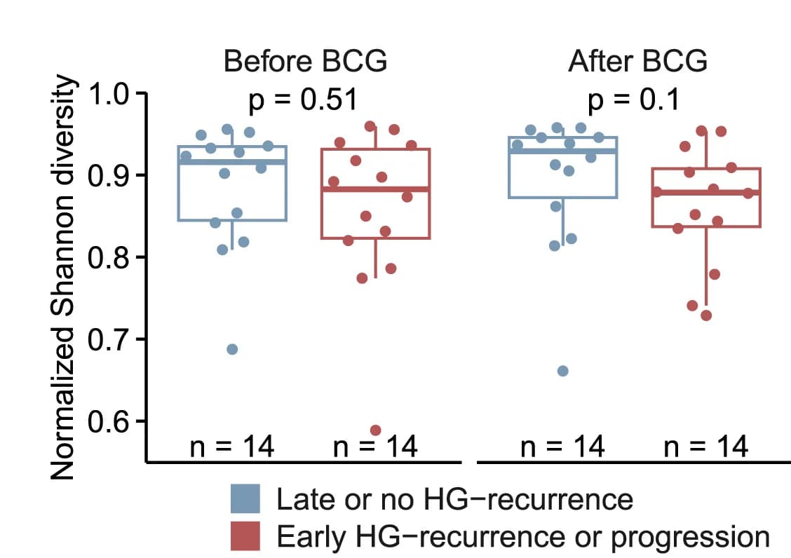 Open access visualization of Box Plot, Scatter Plot, Shannon Diversity, BCG Treatment, Recurrence