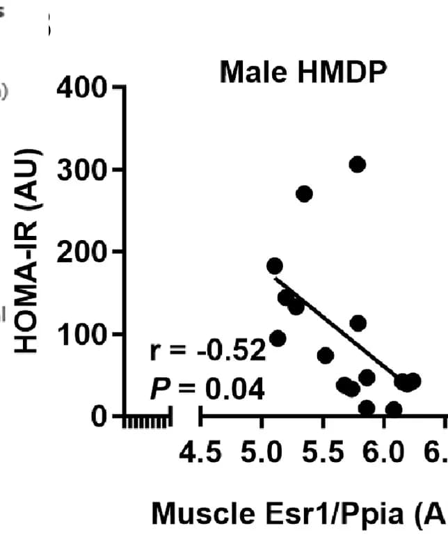 Open access visualization of Scatter Plot, Regression Plot, Muscle, Esr1, HOMA-IR