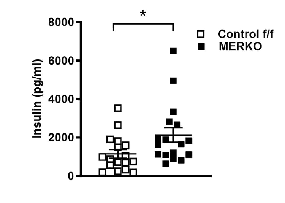 Open access visualization of Scatter Plot, Fasting Plasma Insulin, MERKO Mice, Control Mice