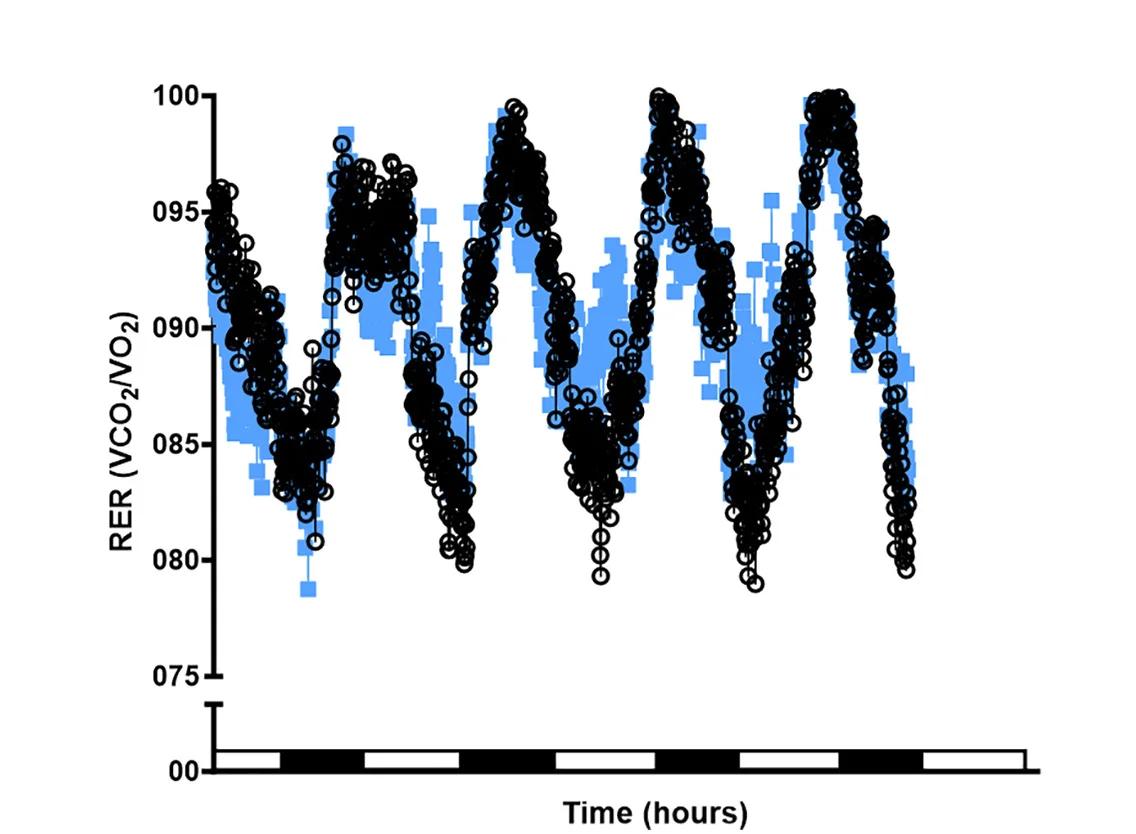 Open access visualization of Line Plot, Scatter Plot, Line Step, Metabolic Caging, Indirect Calorimetry