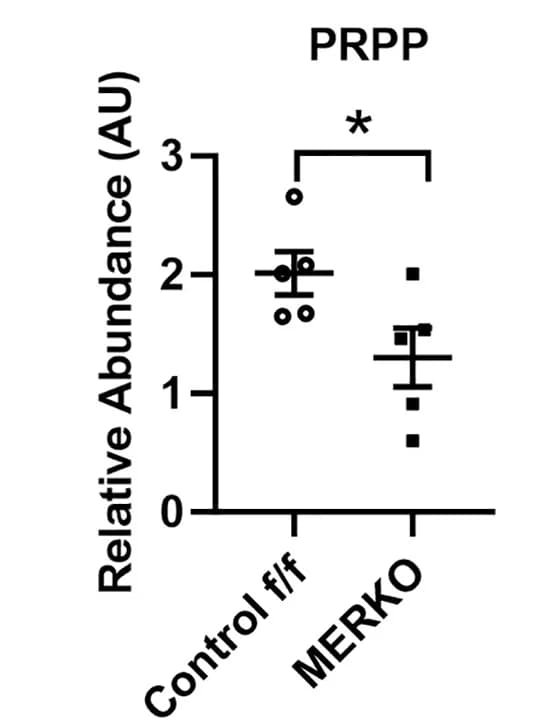 Open access visualization of Scatter Plot, Error Bars, PRPP, Metabolomics Analysis, Mouse