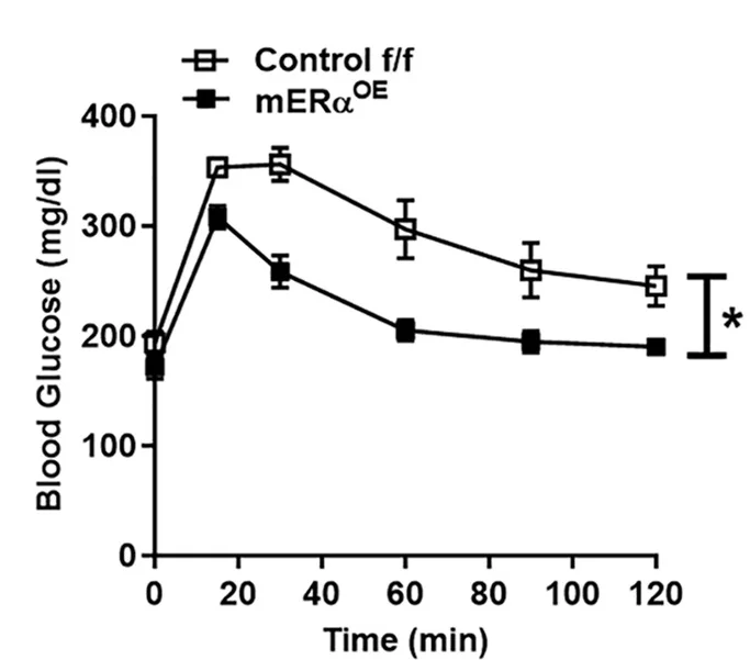Open access visualization of Line Plot, Error Bars, Esr1 Overexpression, Male Mice, HFD