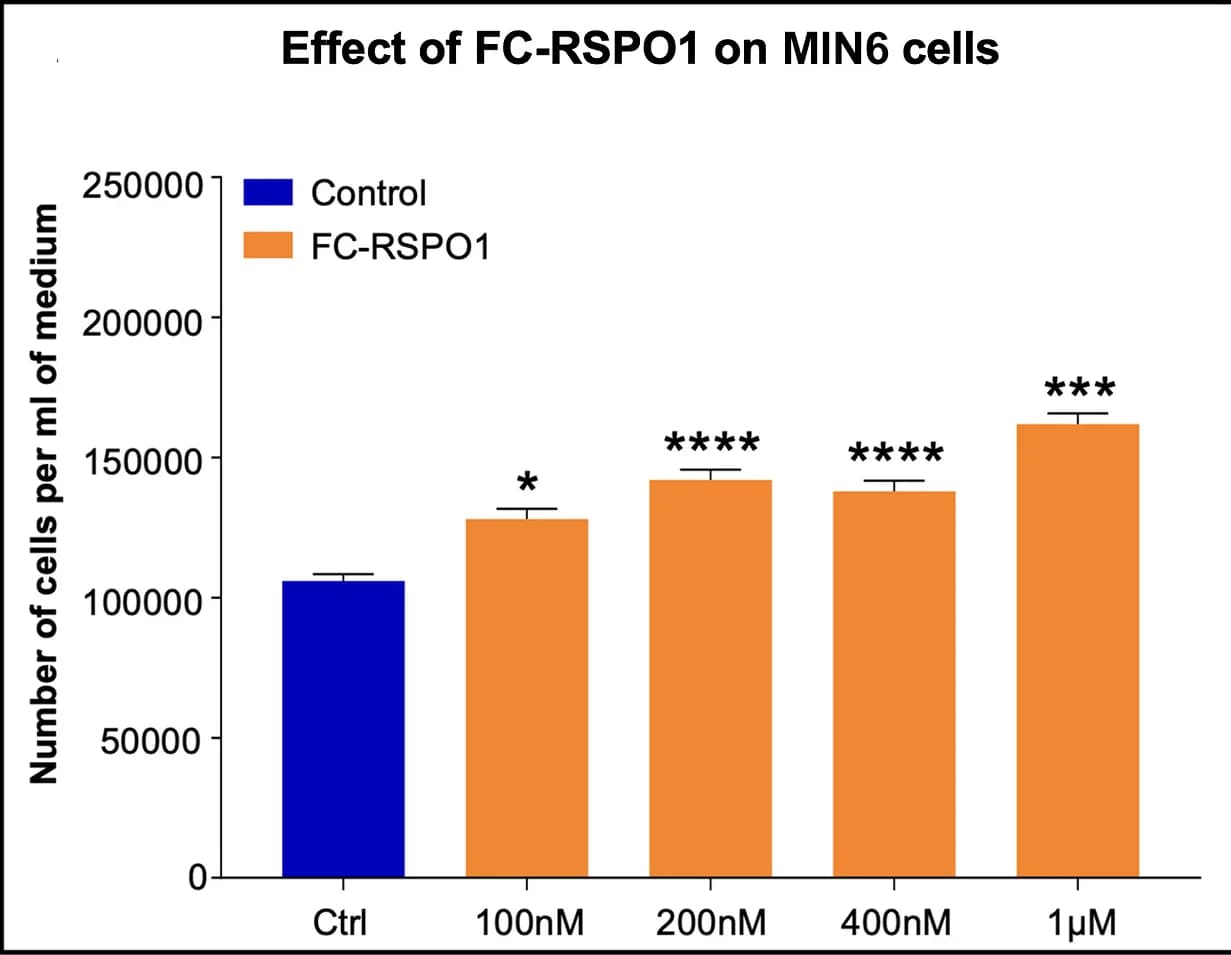 Open access visualization of Bar Plot, Error Bars, MIN6 Cells, Saline, FC-coupled RSPO1 Protein