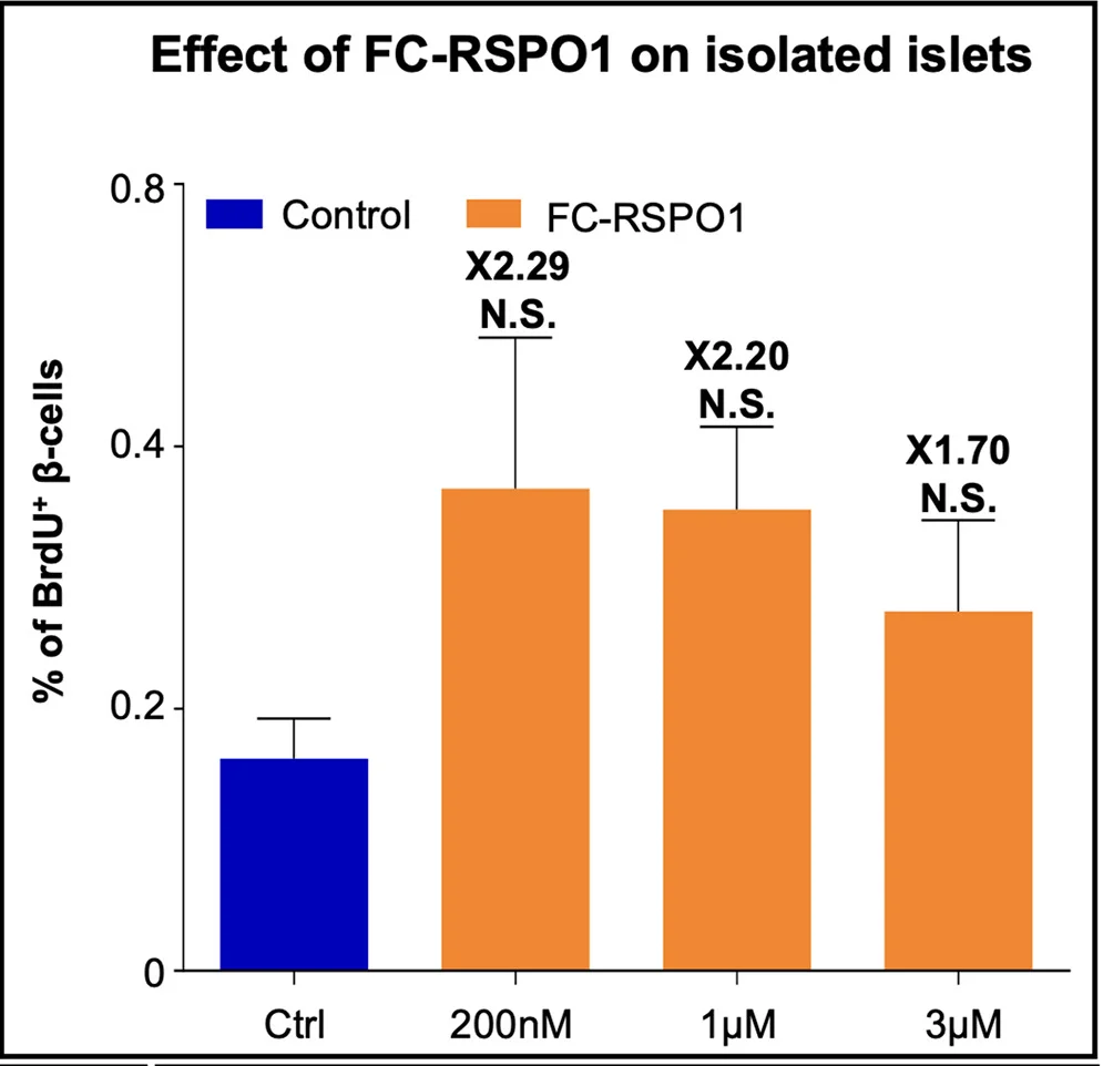 Open access visualization of Bar Plot, Error Bars, BrdU+ Cells, Saline-treated Islets, FC-RSPO1