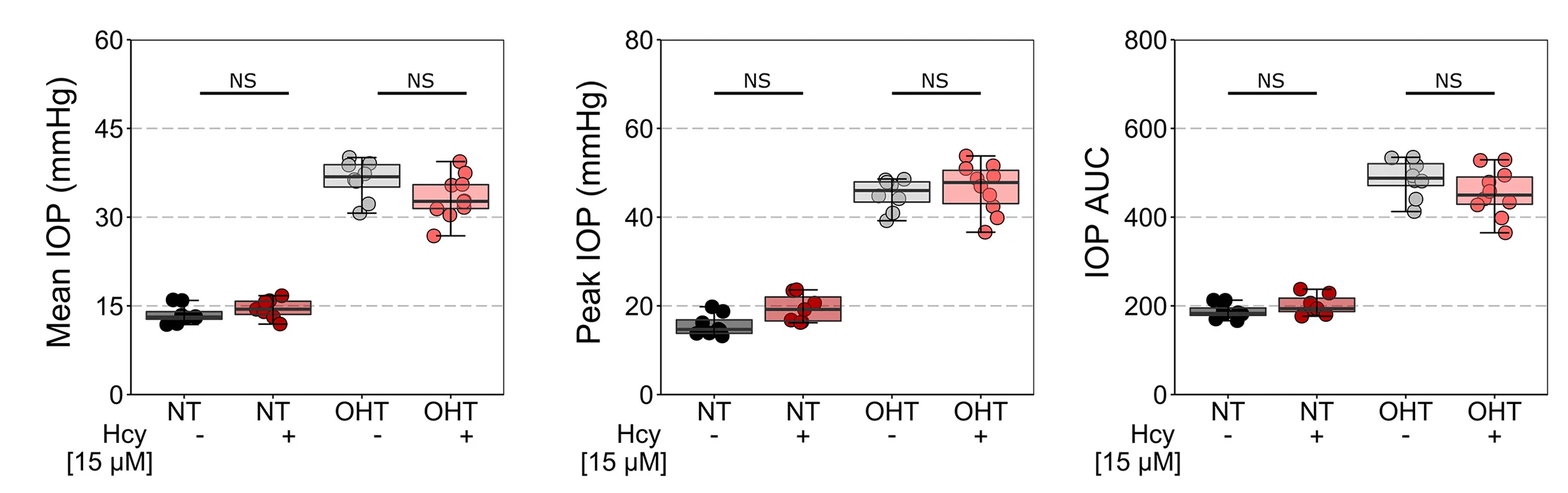 Open access visualization of Box Plot, Scatter Plot, Rats, Intravitreal Injection, HBSS