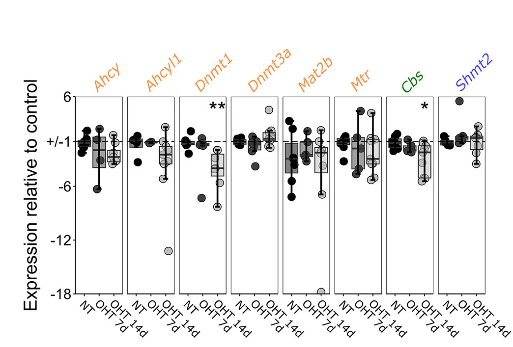 Open access visualization of Box Plot, Scatter Plot, Rat Optic Nerve, Genes, Enzymes