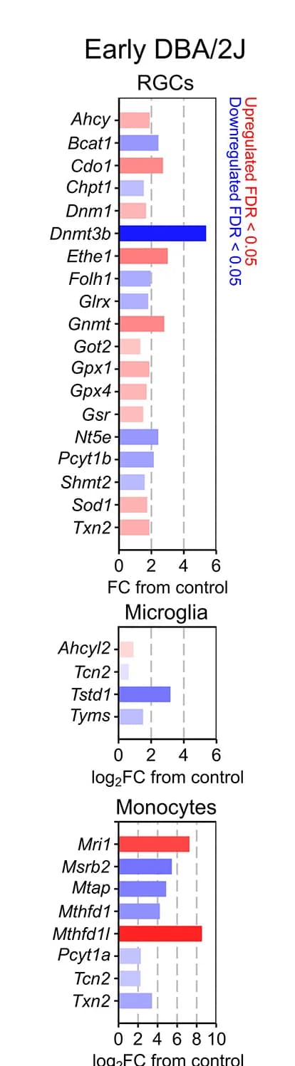 Open access visualization of Bar Plot, Genes, RGCs, Microglia, Infiltrating Monocytes