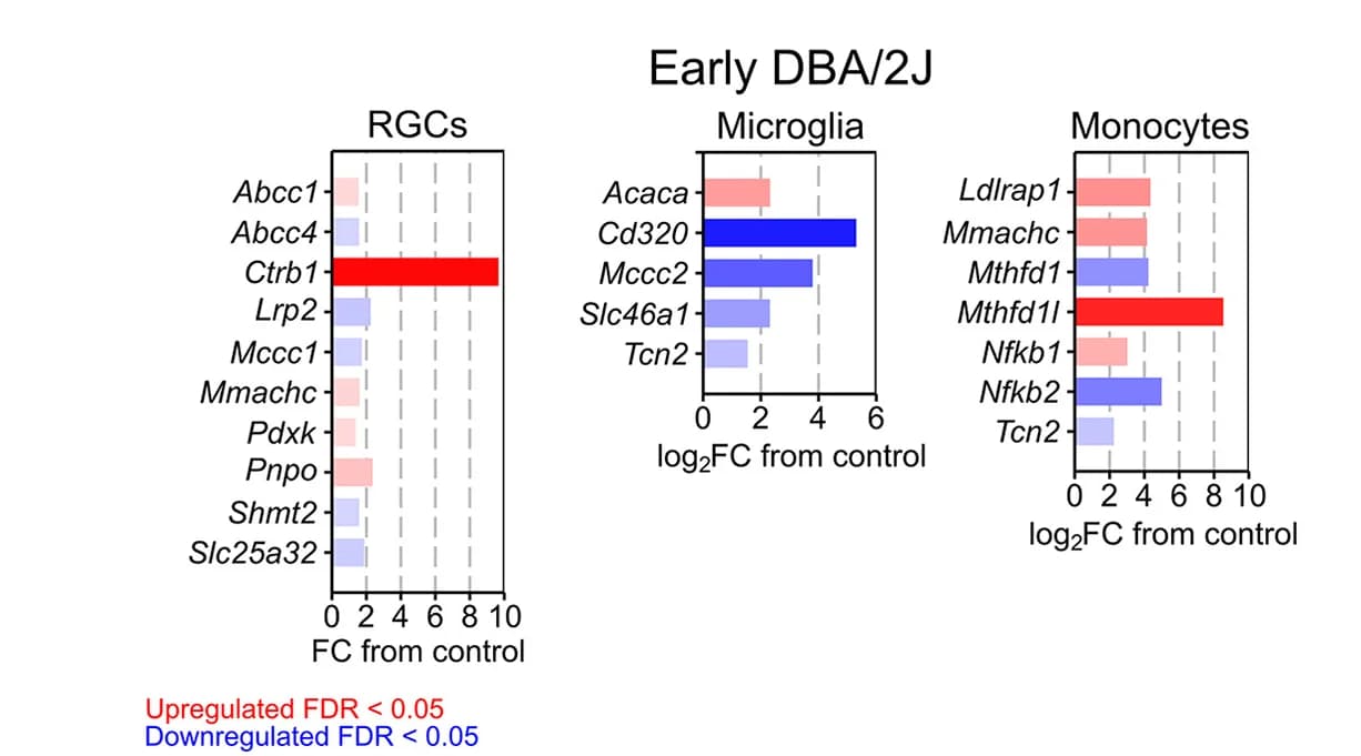 Open access visualization of Bar Plot, Retinal Ganglion Cells, Microglia, Monocytes, Disease Stage