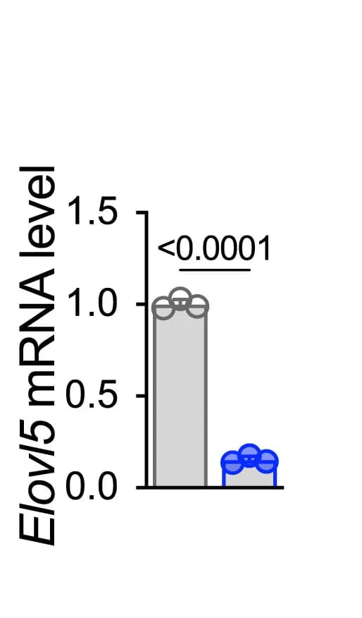Open access visualization of Bar Plot, Scatter Plot, Elovl5 mRNA Levels, CRISPR-Cas9, RAW 264.7 Macrophages
