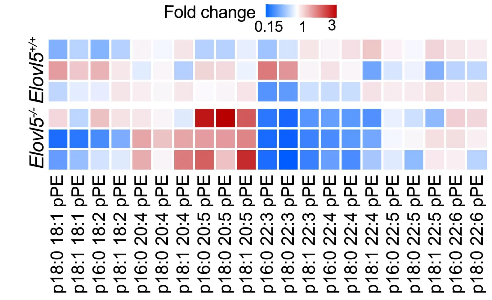 Open access visualization of Heatmap, pPEs, Elovl5, CRISPR-Cas9, RAW 264.7 Macrophages