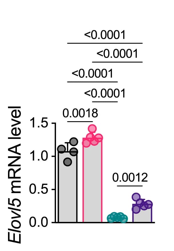 Open access visualization of Bar Plot, Error Bars, Scatter Plot, mRNA Levels, Lpcat3